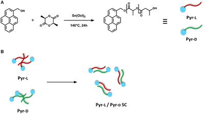Stereocomplexation of Poly(Lactic Acid)s on Graphite Nanoplatelets: From Functionalized Nanoparticles to Self-assembled Nanostructures